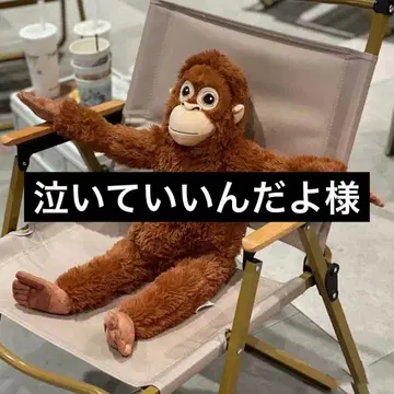 IKEA DJUNGELSKOG 오랑우탄 봉제 인형