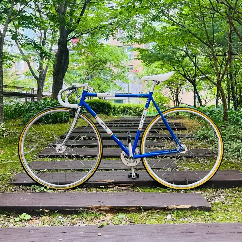 Gios Pista 경륜 (상급)