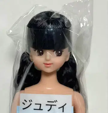 주디 블랙 헤어 제니 프렌드 27BD 오타노시미 인형 리카짱 캐슬