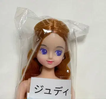 주디 제니 프렌드 27BD 즐거운 인형 리카짱 캐슬