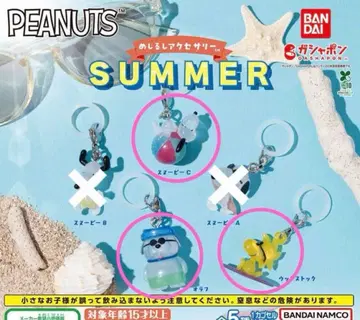 PEANUTS SUMMER 메지루시 액세서리 3종