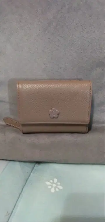MARY QUANT 지갑 카드 케이스 세트