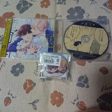 [ BLCD ] 체감 예보 드라마 CD