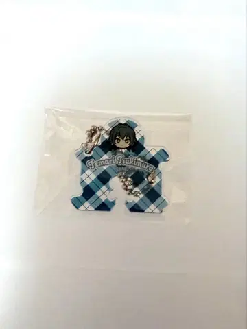 학마스 아크릴 백 클로저 테마리