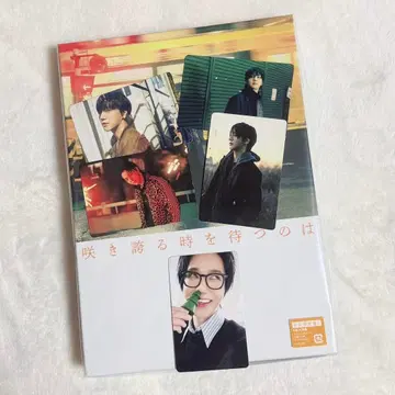 예성 CD와 트레이딩 카드 5장 세트