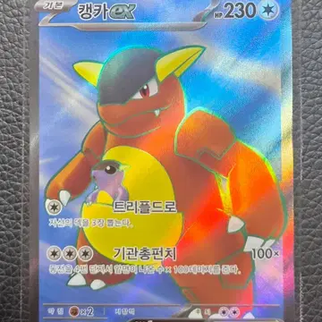 포켓몬카드 캥카 EX SR 192/165