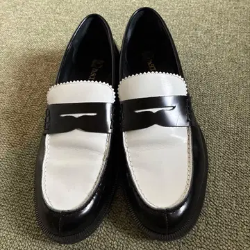 파스쿠치 콤비 로퍼