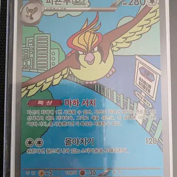 포켓몬 카드 피죤투 EX SAR