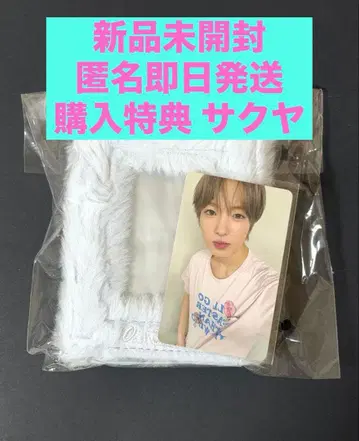 NCT WISH 콜렉트 포토카드 홀더 구매 혜택 트레카 사쿠야