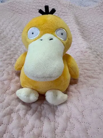 포켓몬 fit 코닥 봉제 인형