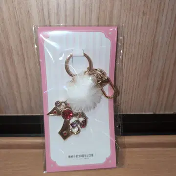 다네무라 아리나 30주년 기념전 백참 카미카제 괴도 잔느
