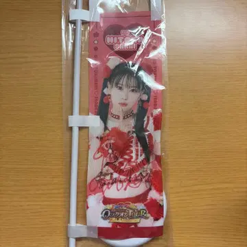 초 도키메키 센덴부 사인 포함 미니 깃발 사카이 히토카