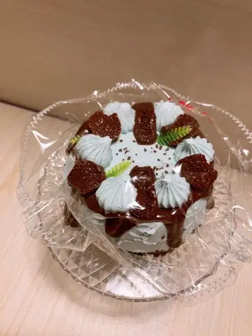 kikisquishy 초코 민트 홀 케이크 스퀴즈