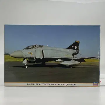 1/48 브리티시 팬텀 FGR MK2 타이거즈 스쿼드론