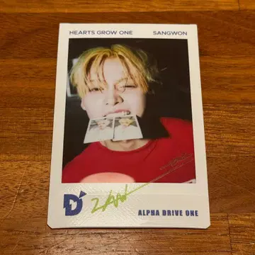 ALD1 산원 사인 사진 폴라로이드 DICON POPUP