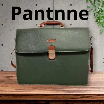 Pantnne 2way 비즈니스 백