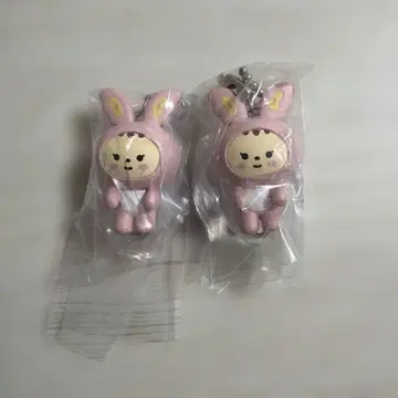 MINITEEN 정한 2개 세트