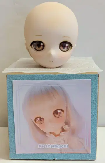 Miel Magical DD 커스텀 헤드 DDH-01/세미 화이트 스킨