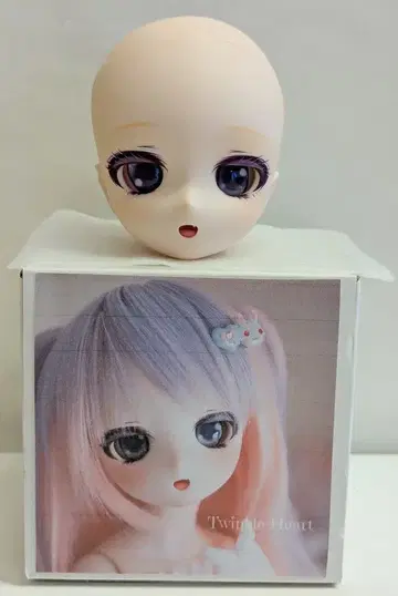 Twinkle Heart DD 커스텀 헤드 DDH-28/세미 화이트 스킨