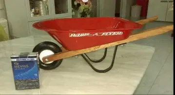 라디오 플라이어 RADIO FLYER 외발자전거 고양이