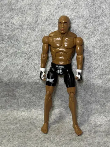 UFC 앤더슨 실바 액션 피규어 새상품급 PRIDE