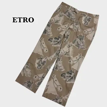 새상품급 ETRO 호스 프린트 치노 팬츠 48