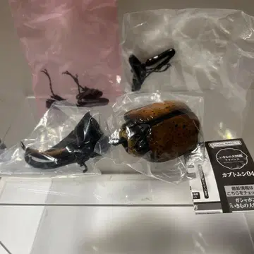 생물대도감 어드밴스 장수풍뎅이 04 헤라클레스 타카쿠아이