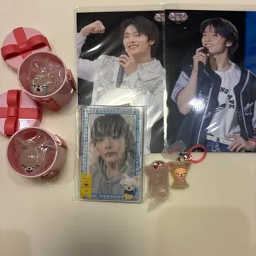 Stray Kids I.N 아이엔 SKZOO 세트