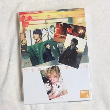 예성 CD와 트레이딩 카드 5장 세트