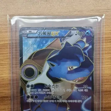 거북왕 ex