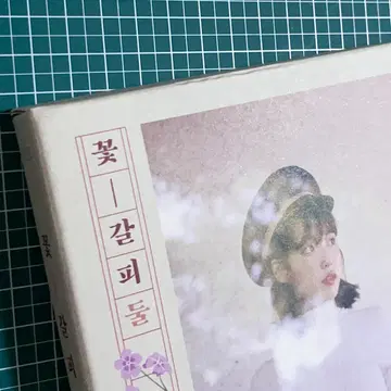 아이유 꽃갈피 둘 앨범 리메이크 iu 포카 | 음반/영상물 | 번개장터