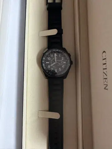 CITIZEN 프로마스터 에코드라이브 나이트호크