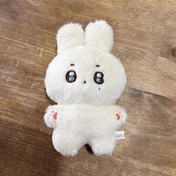 도겸 세부치 seventeen 도드리 봉제 인형 DK