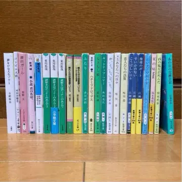 문고본 소설 묶음 판매 21권 세트
