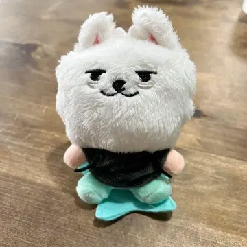 TXT 뿔바투 키링 용몽 앉은 모습