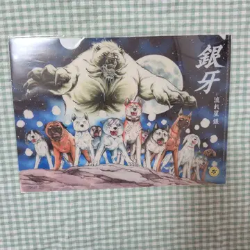 클리어 파일 은아 -별똥별 은-