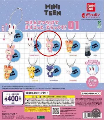 MINI TEEN 집어서 연결하는 마스코트 딜럭스 01 정한 2개