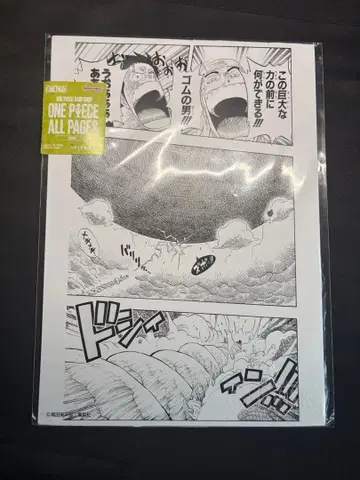 ONE PIECE BASESHOP 베이스샵 올 페이지 10매