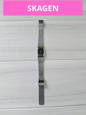 SKAGEN DENMARK 884XSSBPL 손목시계 본체