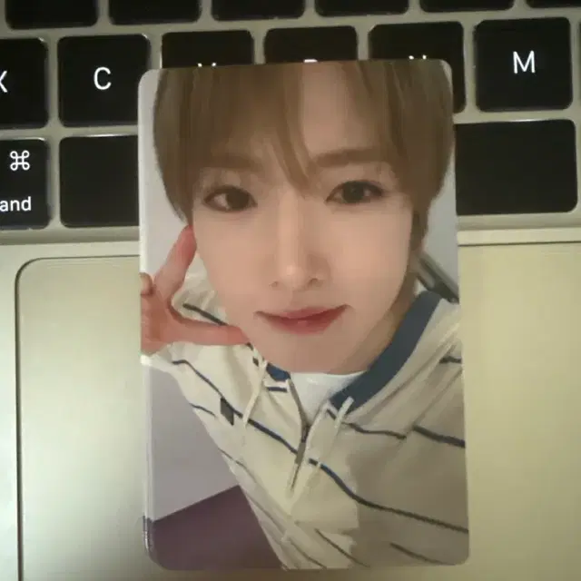 Sakuya (NCT Wish) | Bunjang, Fansigns & Albums | Kfriday
