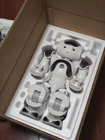 휴머노이드 로봇 NAO V6 SoftBank Robotics