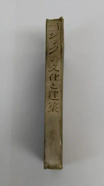 고딕 문화와 건축 서적