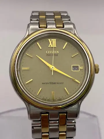 Citizen Eco-Drive 손목시계 실버/골드 솔라 데이트