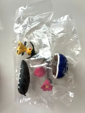포켓 BONSAI 쿠치토 미개봉