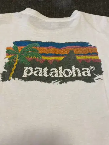 레어 90s pataloha 파타고니아 블랙 택 USA제 T셔츠 L