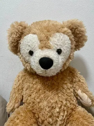 Duffy 더피 봉제 인형 M