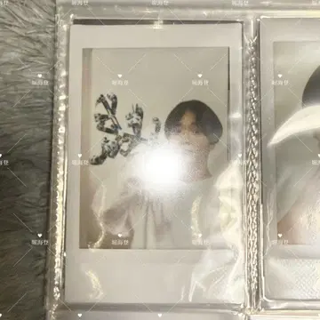 호리 카이토 폴라로이드