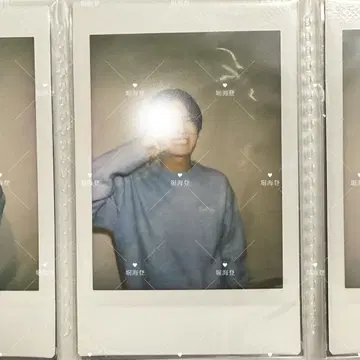 호리 카이토 폴라로이드