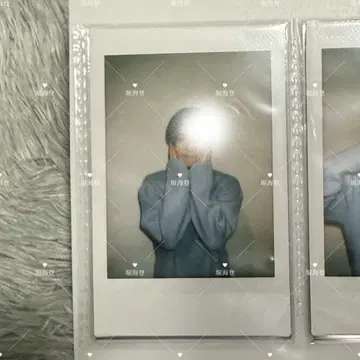 호리카이토 폴라로이드