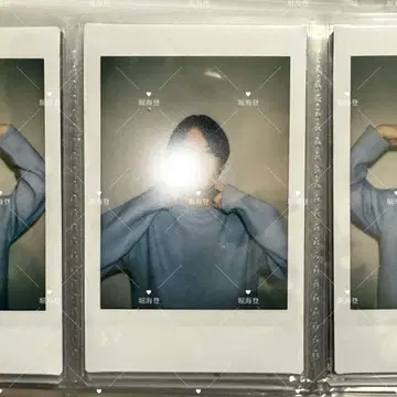 호리 카이토 폴라로이드